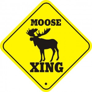 Moose X-Ing
