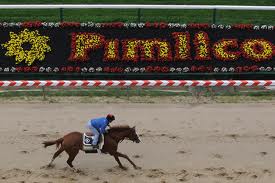 Prominence at Pimlico